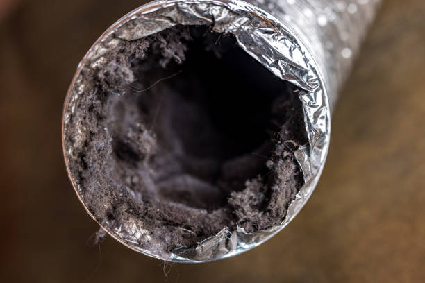 Best Professional Duct Cleaning Services  in East Palatka, FL