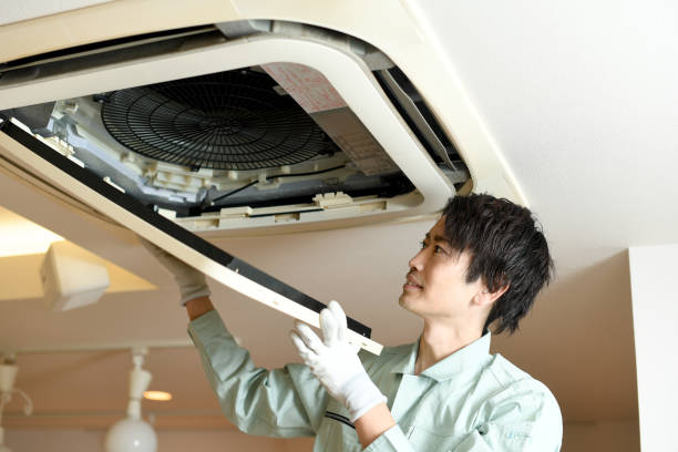 Air Duct Mold Removal in East Palatka, FL