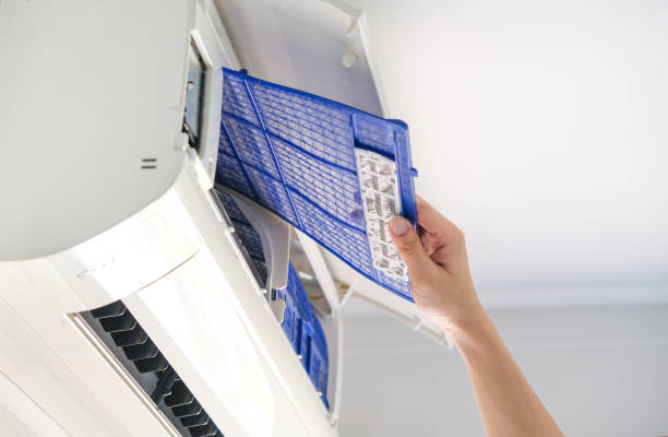 Best Local Air Duct Cleaning Services  in East Palatka, FL