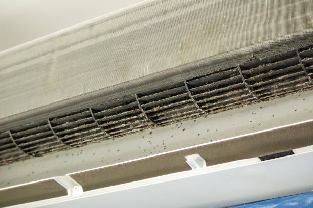 Best Air Duct Cleaning Near Me  in East Palatka, FL